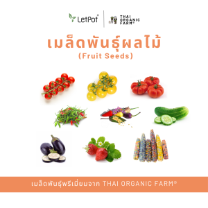 เมล็ดพันธุ์ผลไม้พรีเมี่ยม by THAI ORGANIC FARM®