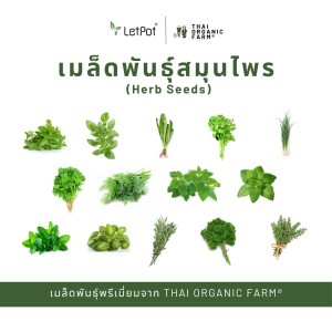 เมล็ดพันธุ์สมุนไพรพรีเมี่ยม THAI ORGANIC FARM®