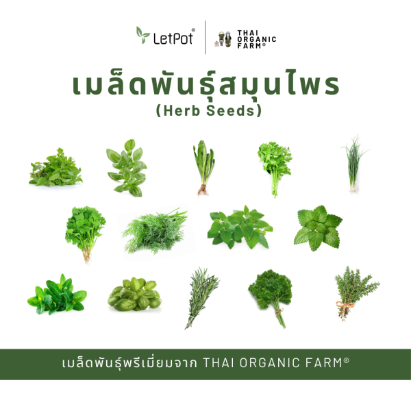 เมล็ดพันธุ์สมุนไพรพรีเมี่ยม THAI ORGANIC FARM®