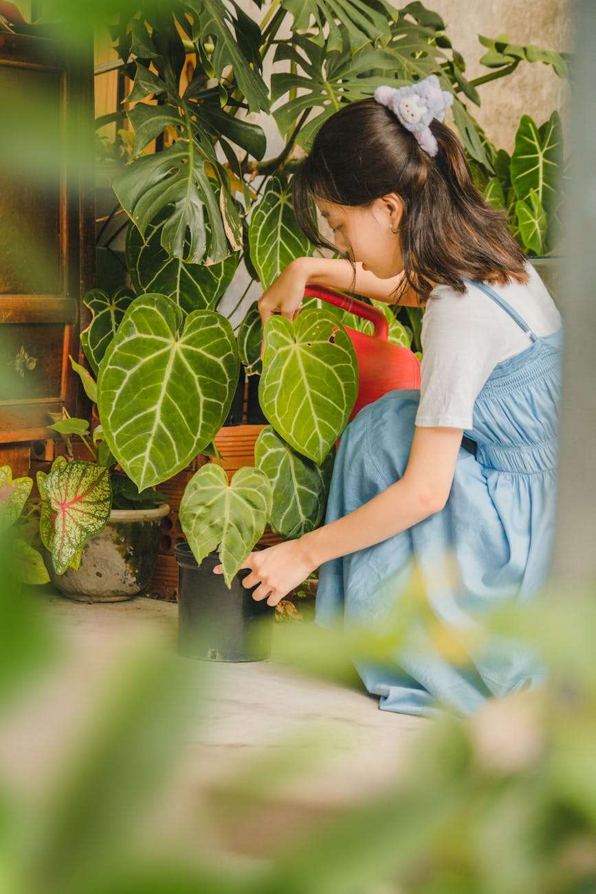 woman squatting and watering plants